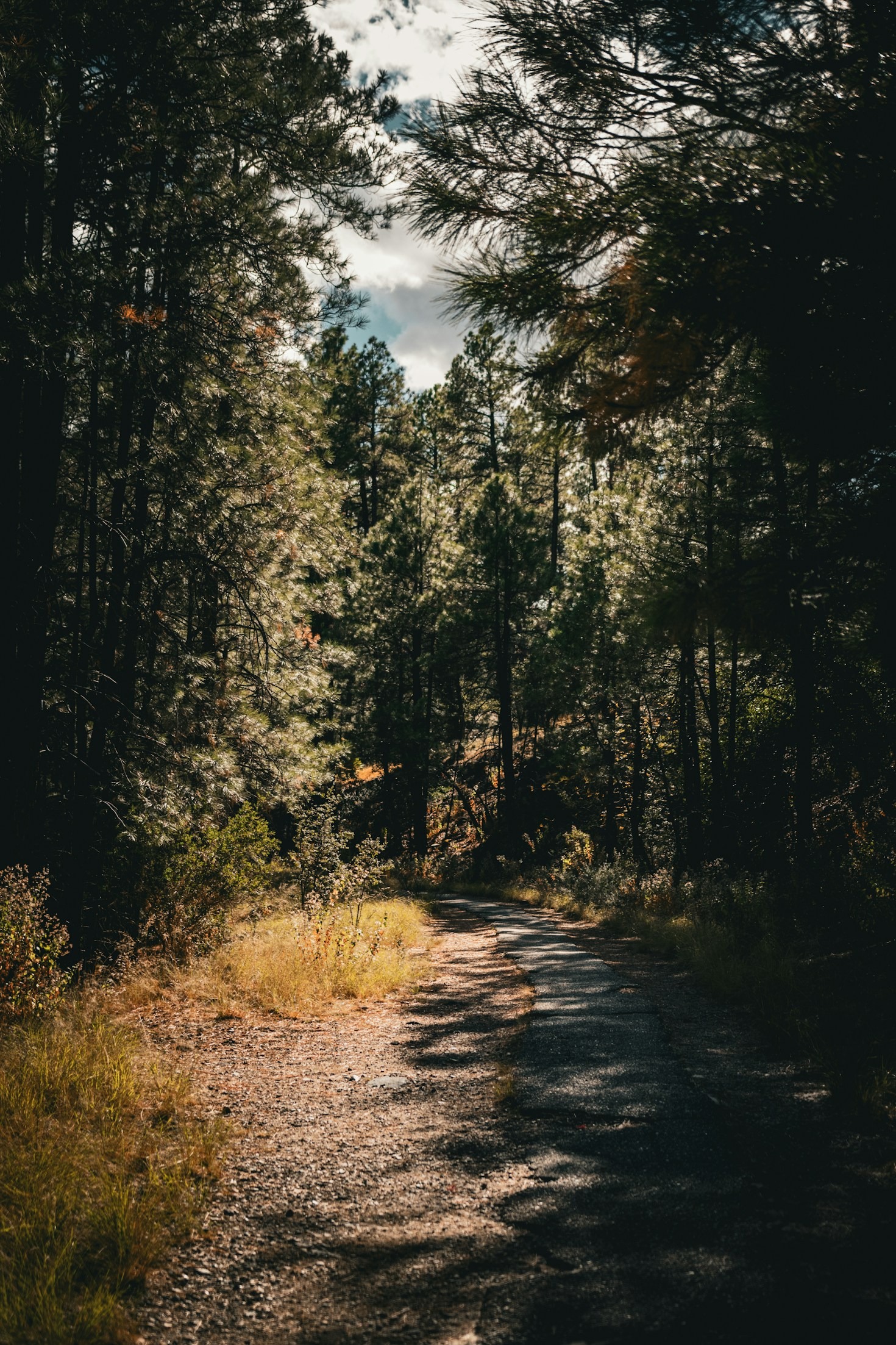 Hidden Gems: Trails You Must Discover