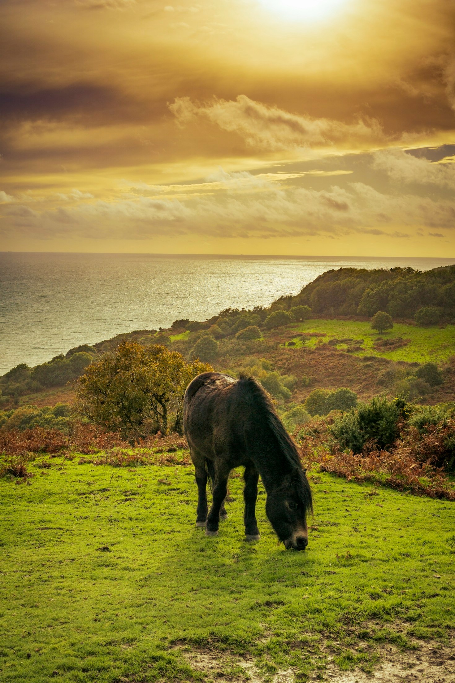 Seasonal Walks to Enjoy Year-Round