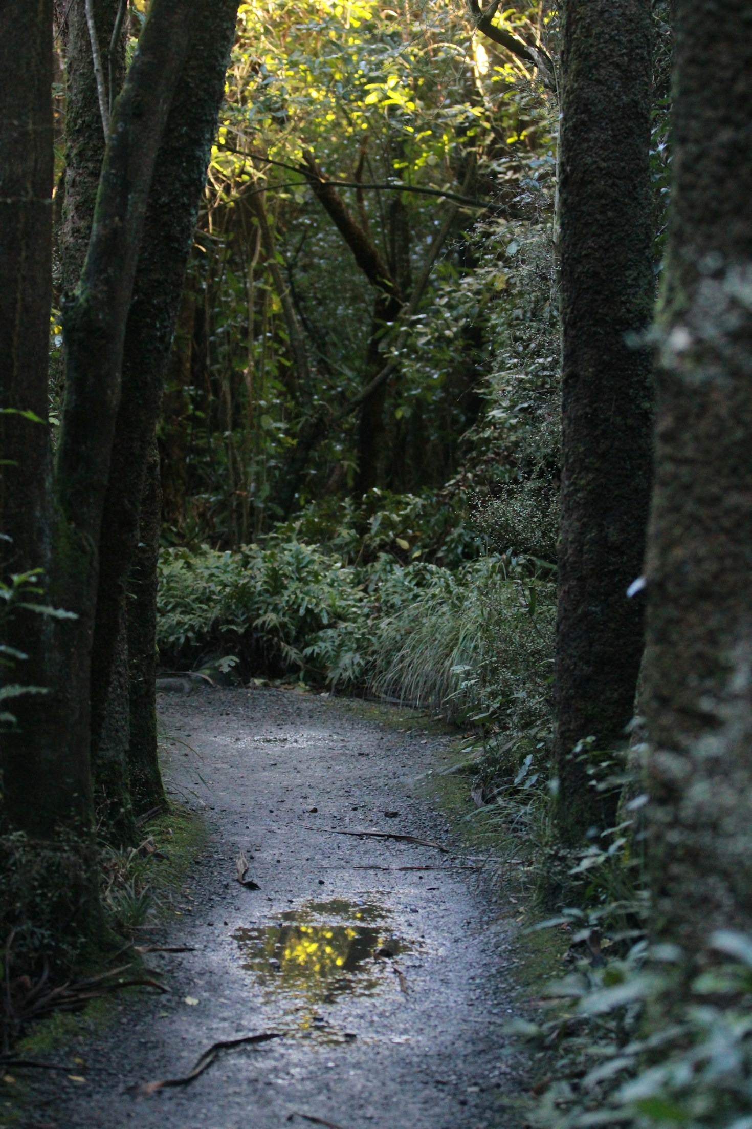 Tips for Making the Most of Your Walks